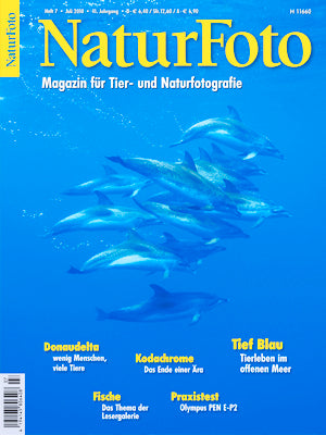 NaturFoto 7/2010